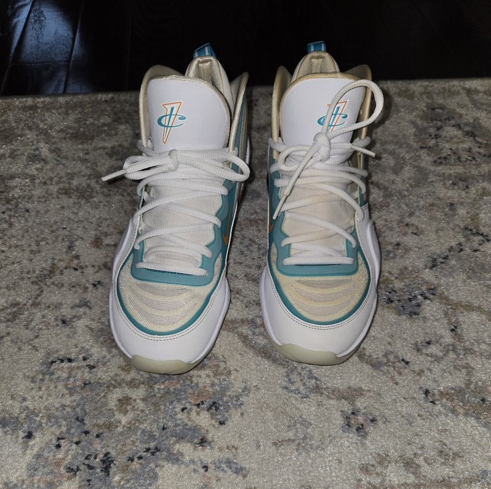 Nike Air Penny V Miami Dolphins